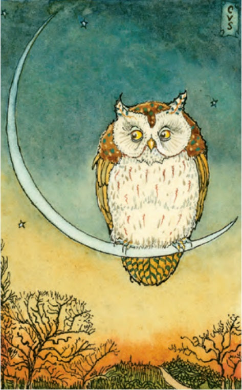 Owl on Moonbow Notecard