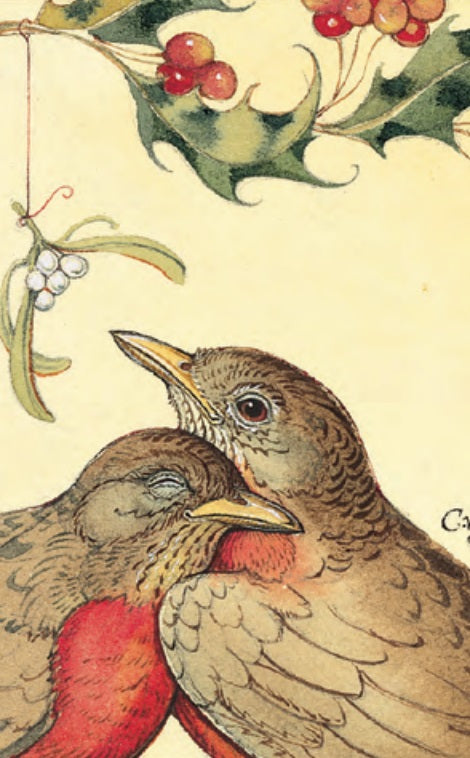 Robins & Mistletoe Notecard