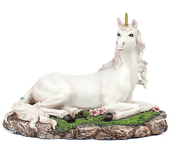 Wonderful Days Of Unicorn! 　ユニコーン Amazon.co.jp: ユニコーン Wonderful Days Of Unicorn! 20th