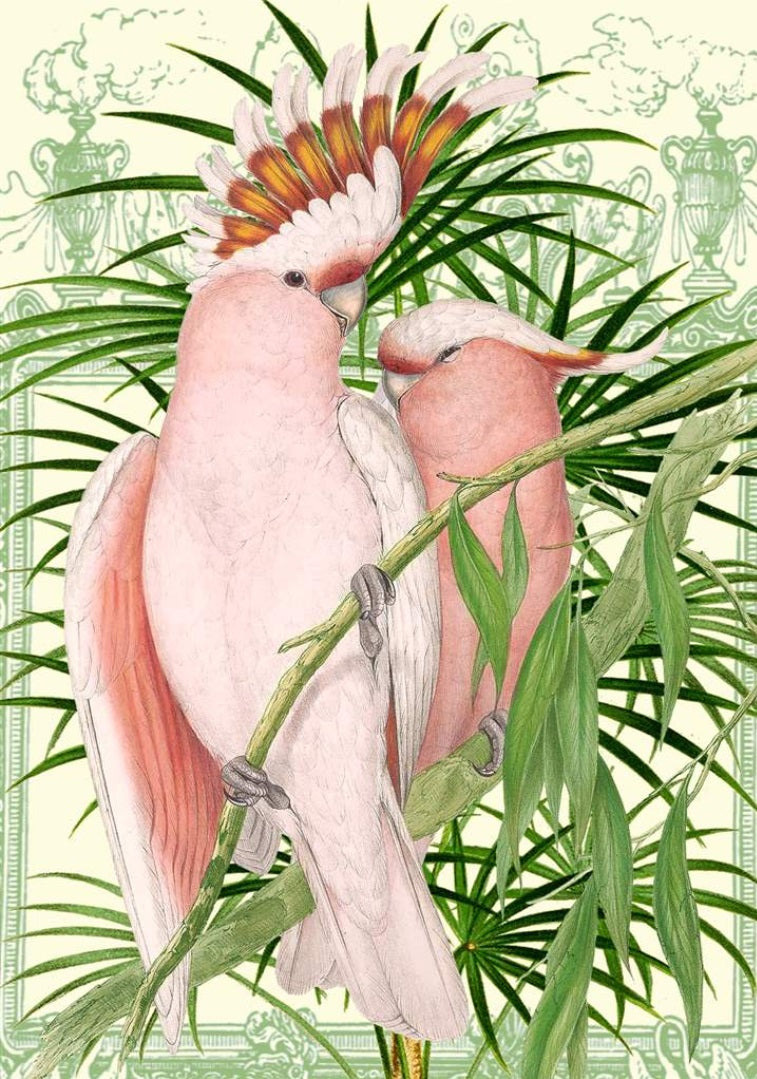 Pink Parrots Card