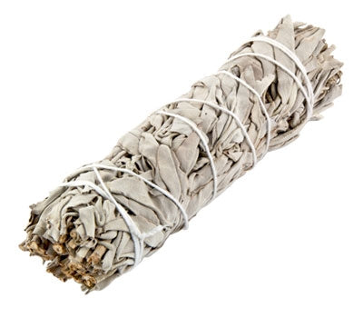 White Sage Smudge Medium (6")