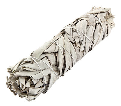 White Sage Smudge Medium (7")