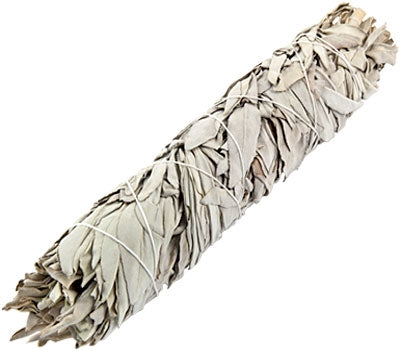 White Sage Smudge Large (9")