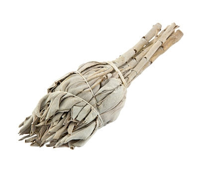 White Sage Smudge Torch (4")