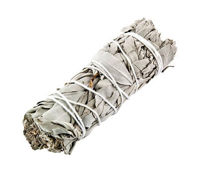 White Sage Smudge Small (5")