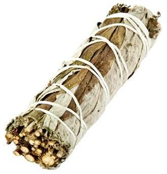 Black Sage (Mugwort) Smudge -- DragonSpace