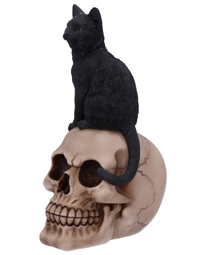 Familiar Fate Cat on Skull