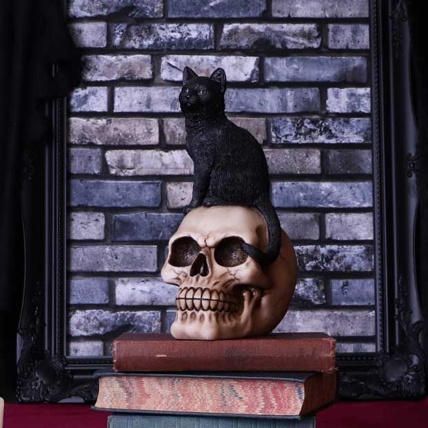Familiar Fate Cat on Skull