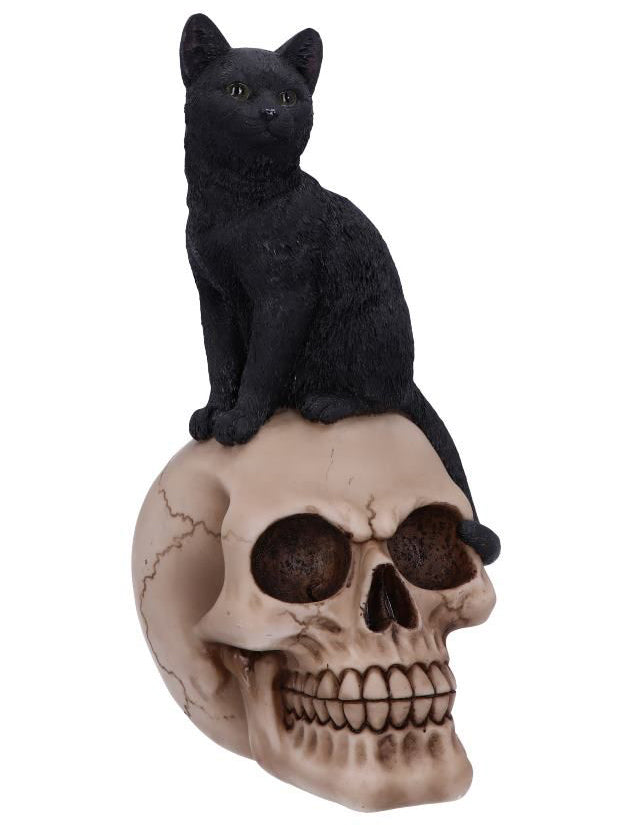 Familiar Fate Cat on Skull