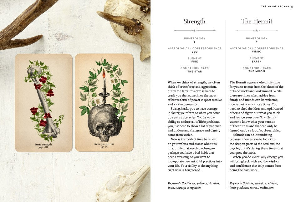 The Antique Anatomy Tarot