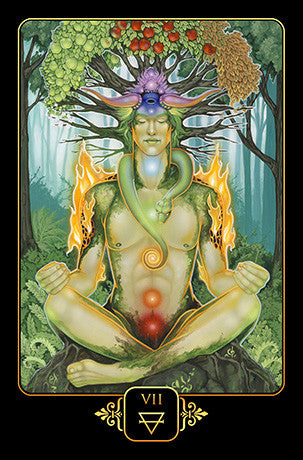 Dreams of Gaia Tarot -- DragonSpace