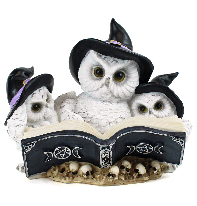 Witchy Owls with Spellbook