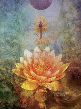 Lotus Dragonfly Card