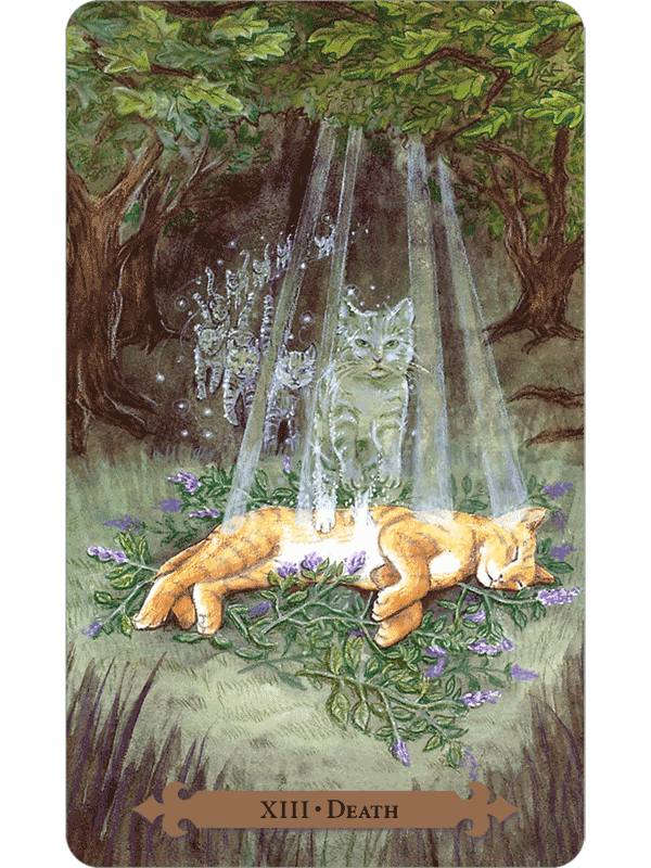 Mystical Cats Tarot