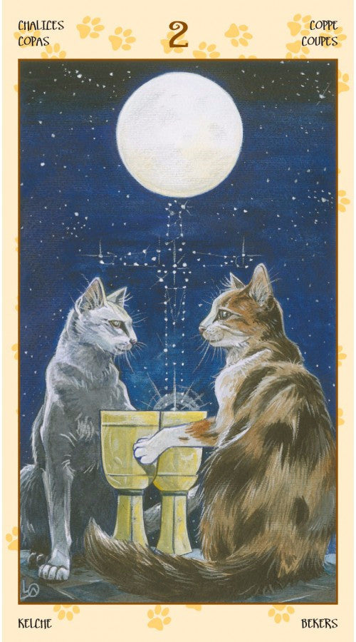 Tarot of Pagan Cats -- DragonSpace