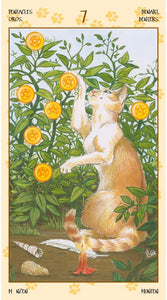 Tarot of Pagan Cats -- DragonSpace