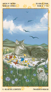 Tarot of Pagan Cats -- DragonSpace