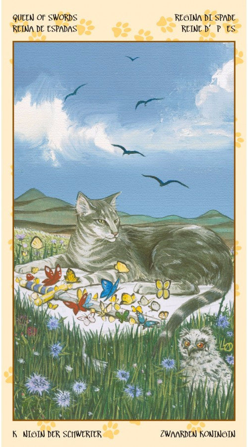 Tarot of Pagan Cats -- DragonSpace