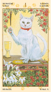 Tarot of Pagan Cats -- DragonSpace