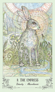 Spiritsong Tarot -- DragonSpace