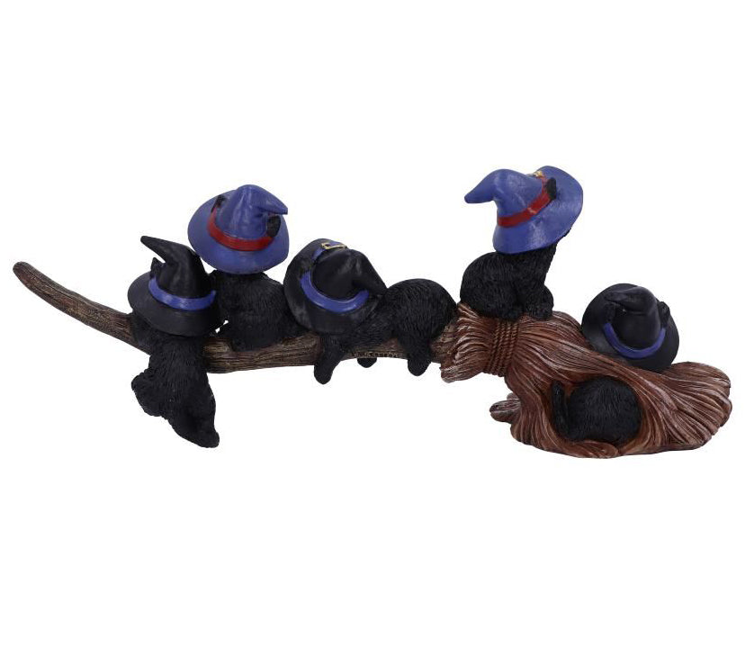 Purrfect Broomstick Kitties