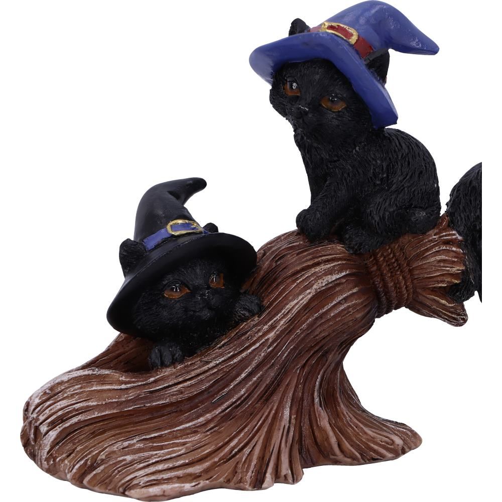 Purrfect Broomstick Kitties