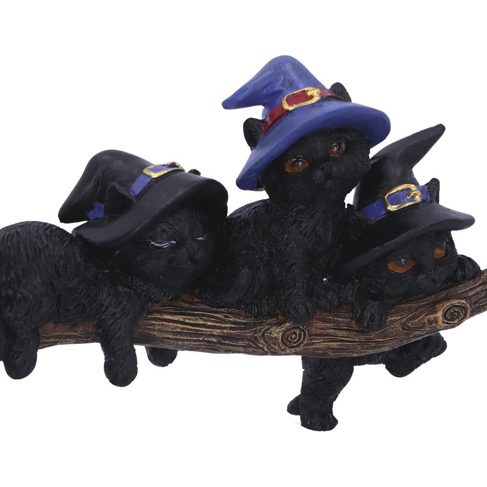 Purrfect Broomstick Kitties