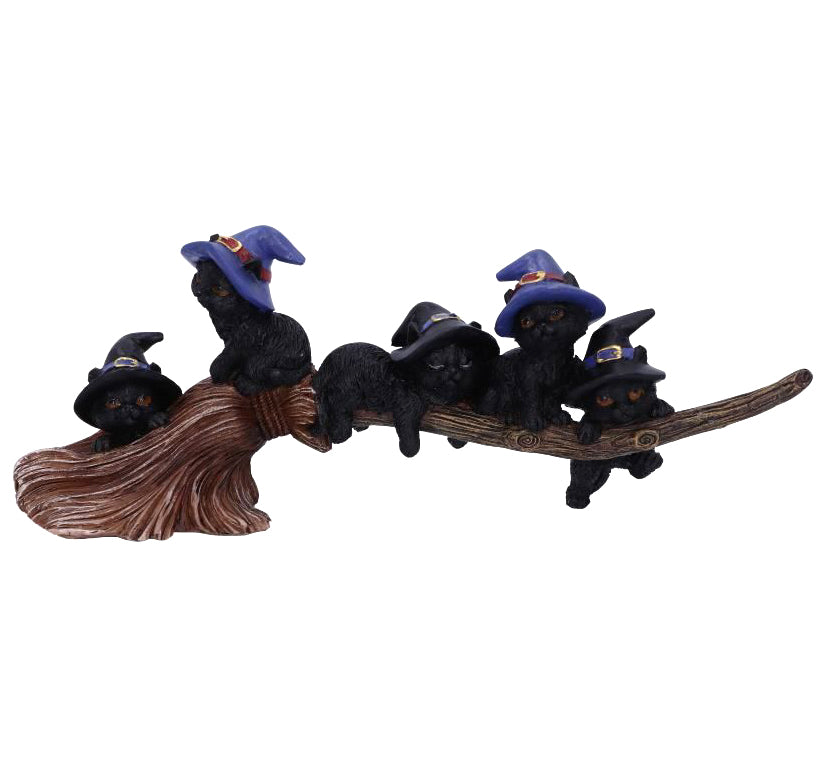 Purrfect Broomstick Kitties