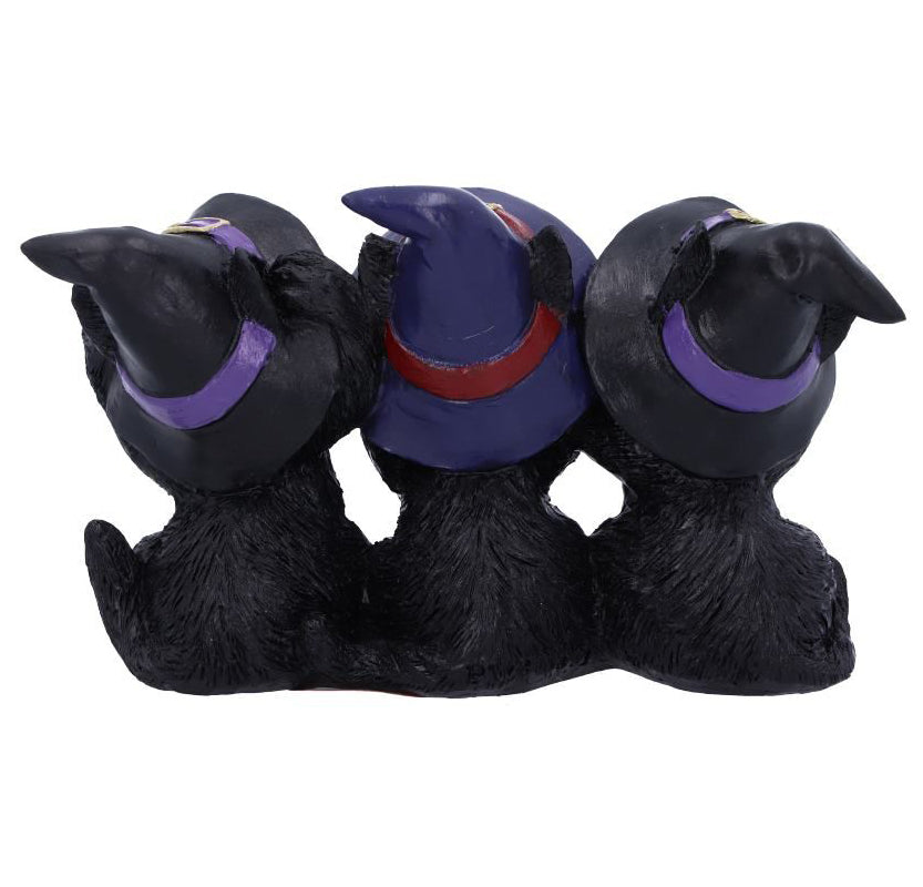 Three Wise Black Cats