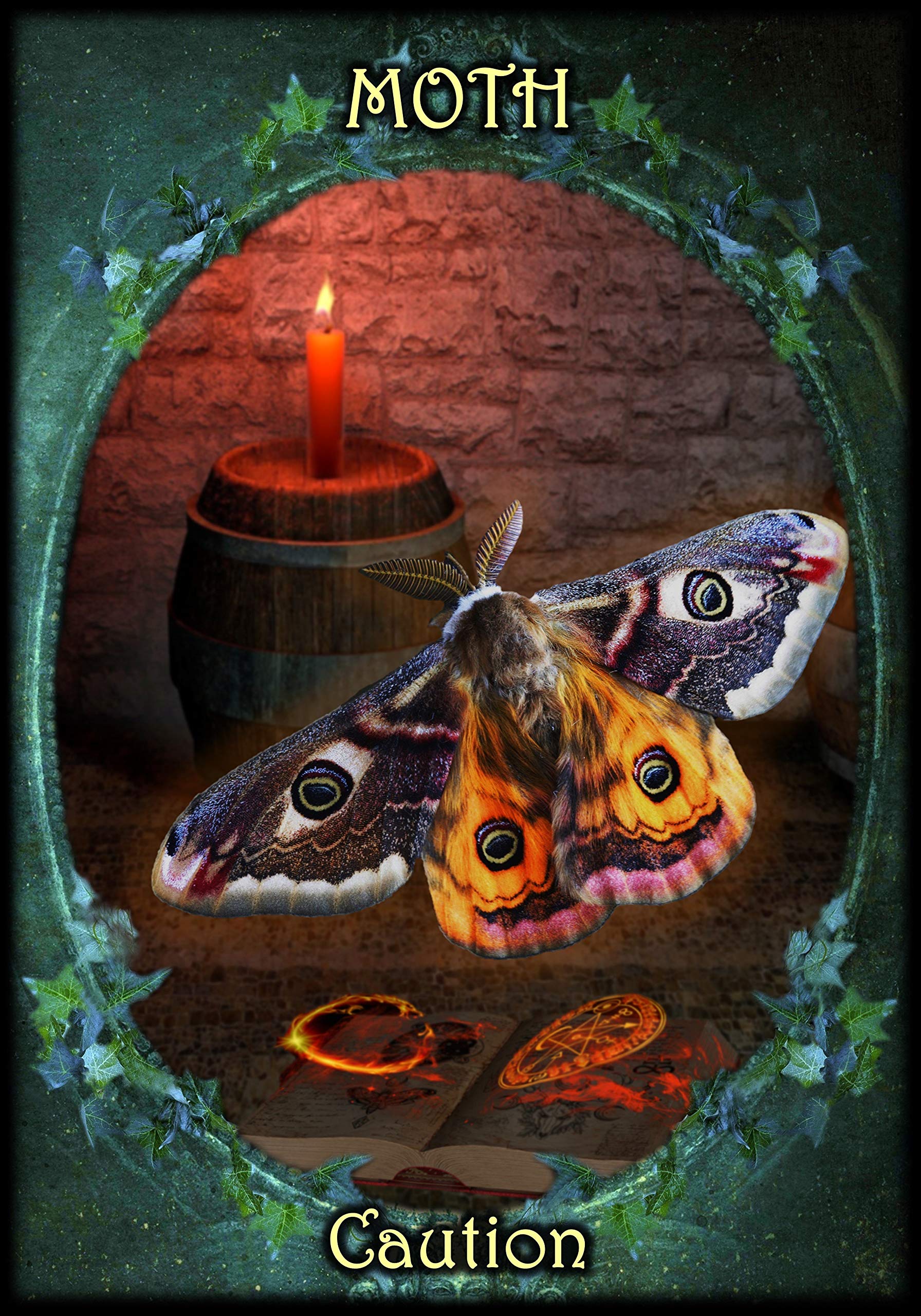 Witches' Familiars Oracle Cards